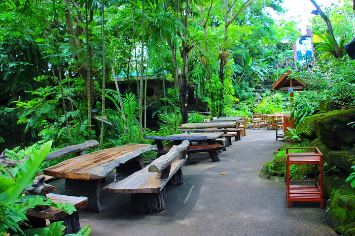 罗勇绿光森林餐厅_罗勇绿光森林餐厅分享展示