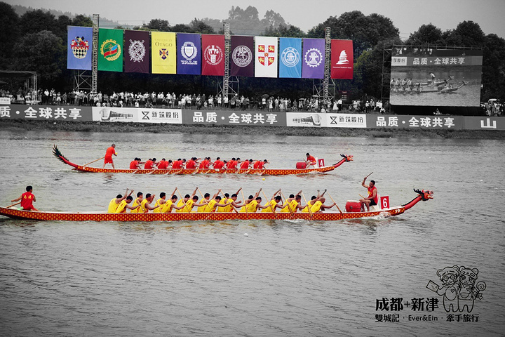 高端大气的赛艇,龙舟,水上表演_新津水上运动学校"的评论图片