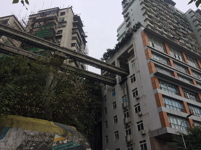 李子坝图片