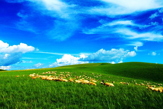 Inner Mongolia Rural and Pastoral Area Broadcasting