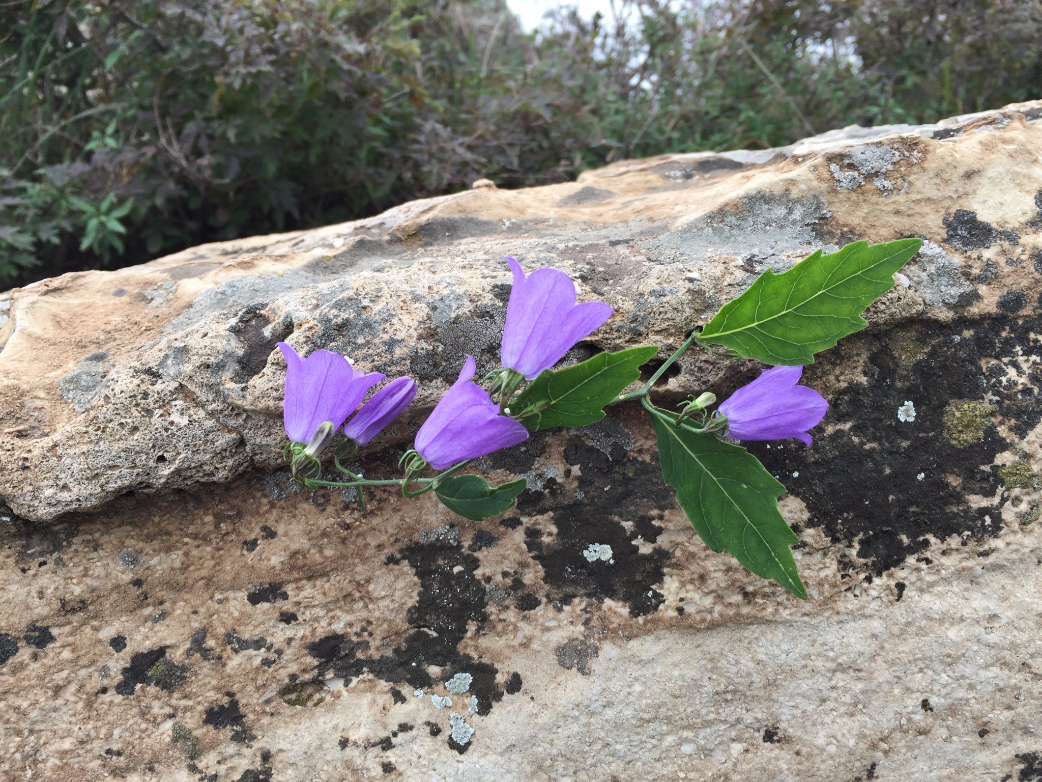 一渡到五渡，6小时走完15公里山路