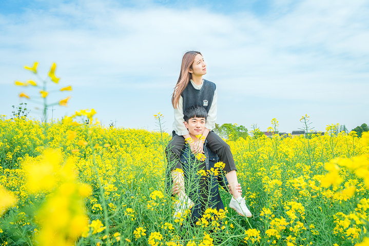 大自然总有着一种魔力,总能营造安逸美好的氛围, 给人带来阳光灿烂的