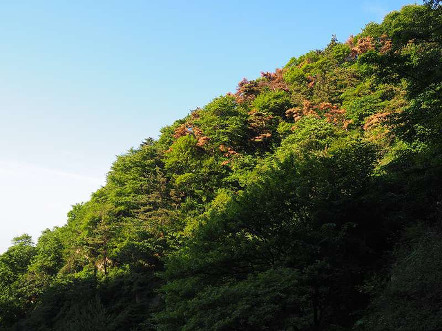 2019泰山住宿美食,泰山攻略/游玩/海鲜/攻略/购烟台行程交通大全图片