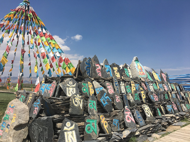 标本与科普陈列