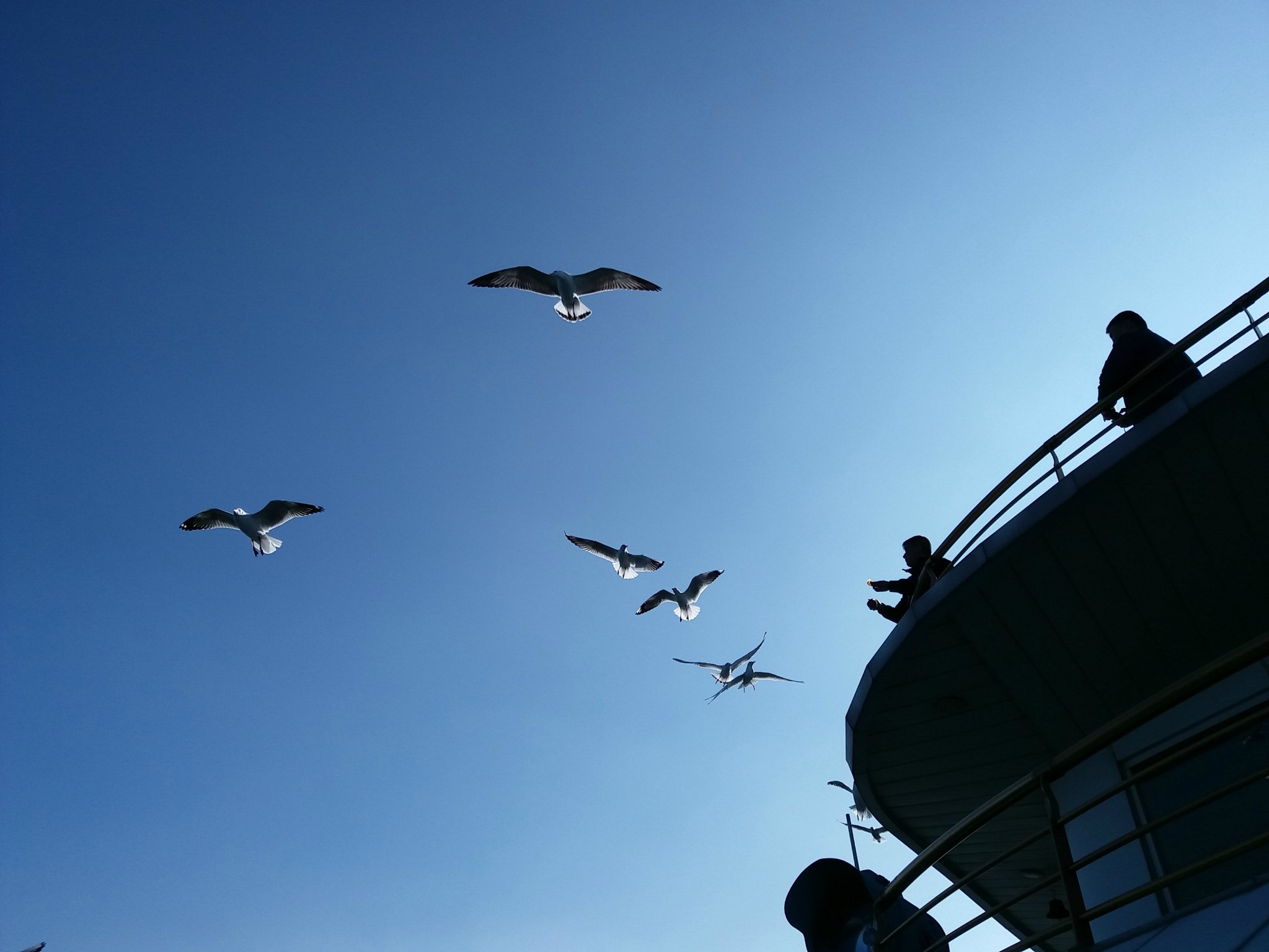 和相爱的人一起去云南