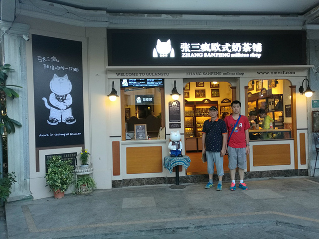 传说中的"张三疯奶茶店,店里的猫咪吸引人专程寻访