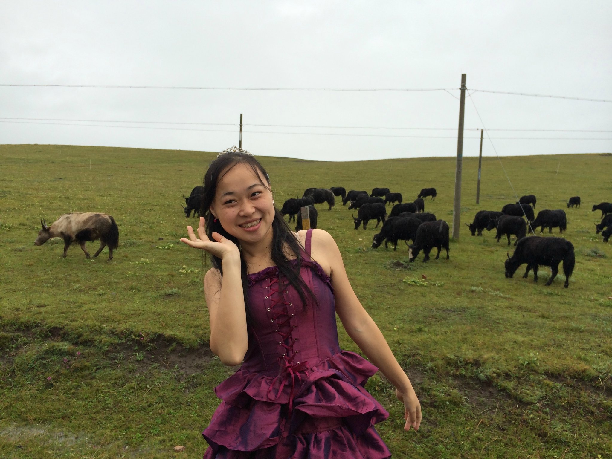 若尔盖之恋-川西自驾游5天