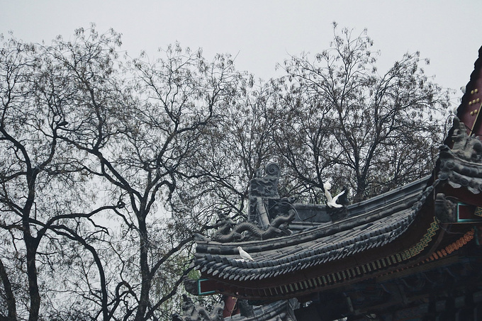 吃途第③站--初春到西安(6天攻略游)_西安旅游湖29深度锈关第图片