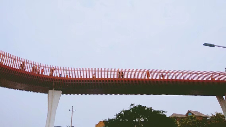 郑成功公园也被称为大坪山公园,因为位于大坪山.他是真的很大.