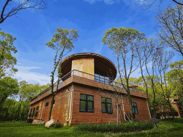 五一小长假带娃去大海边,森林里,住树上…江浙沪最美的亲子小木屋都在