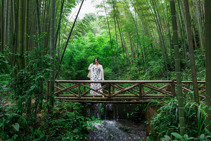 电影《卧虎藏龙》中,在绿涛万倾,壮阔如海的竹林间,一身轻如燕