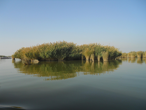 沙湖旅游攻略_门票_地址_游记点评,银川旅游景