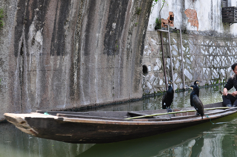 上海、湖州3日游