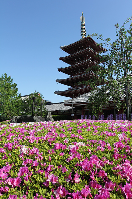 东京の四月物语、春の北海道_札幌旅游攻略