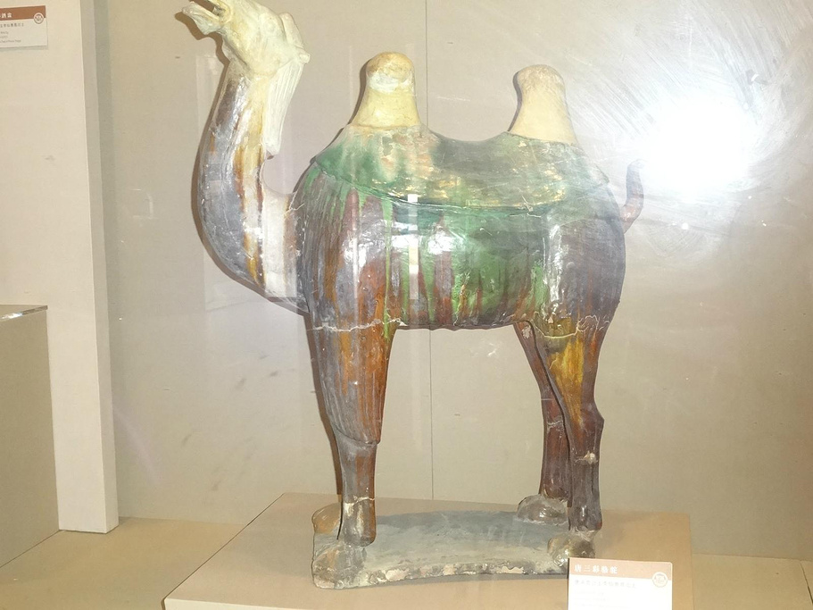 2014去乾陵可以坐旅游公交或者到乾县再去景