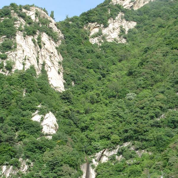 2018王顺山_v游记游记_门票_地址_攻略点评,蓝魔兽300攻略钓鱼图片