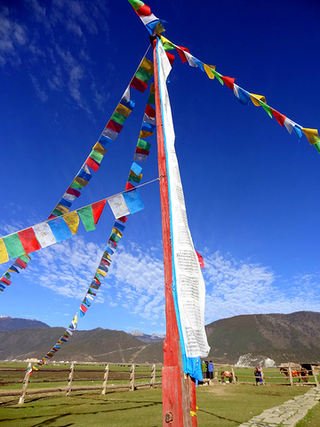 2015.想栖息地这里有全县最大的草原._迪庆评