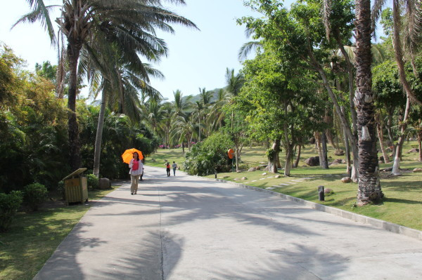 三亚小吃攻略,三亚特色美食_三亚旅游攻略