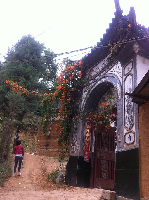 2014晚上苏苏同事一起晚餐, 嫂嫂厨艺不错_挖