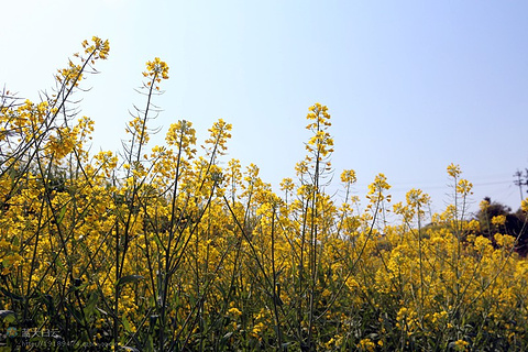 2015莆田旅游攻略,莆田自助游_周边游攻略,莆