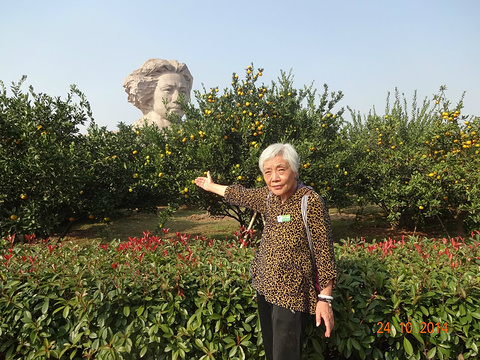 2014岳麓山_旅游攻略_门票_地址_游记点评,长