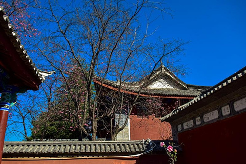 2015大理古城_旅游攻略_门票_地址_游记点评