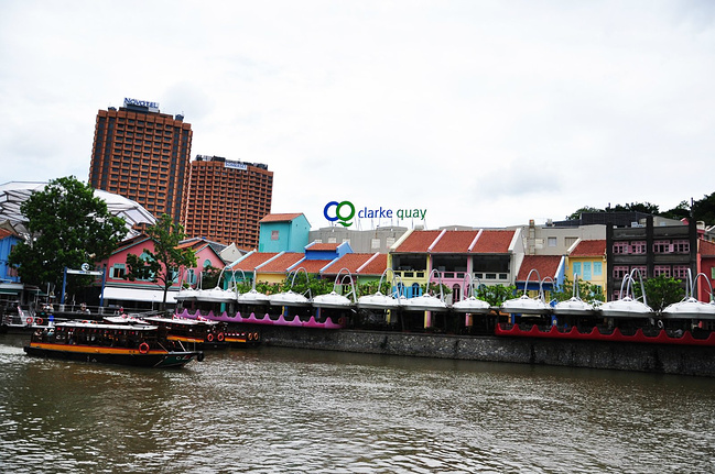 南有乔木,不可思休。_新加坡旅游攻略