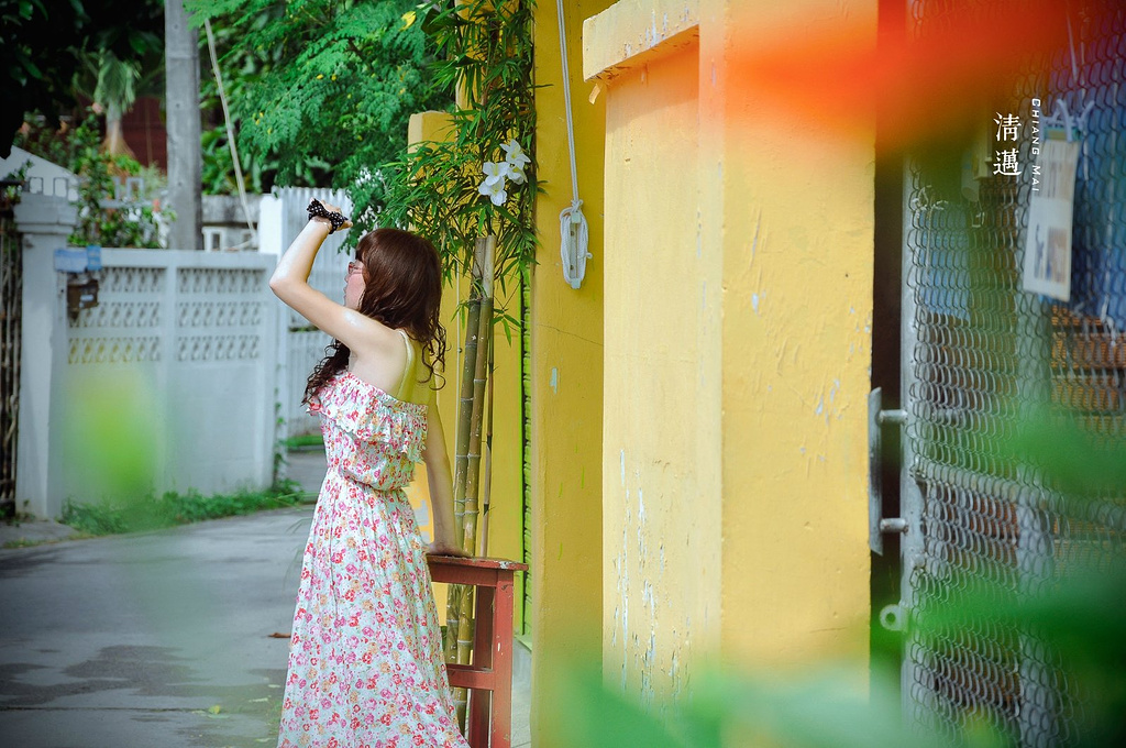 2015抬头眺望远方,透过树叶的缝隙我看到蓝天