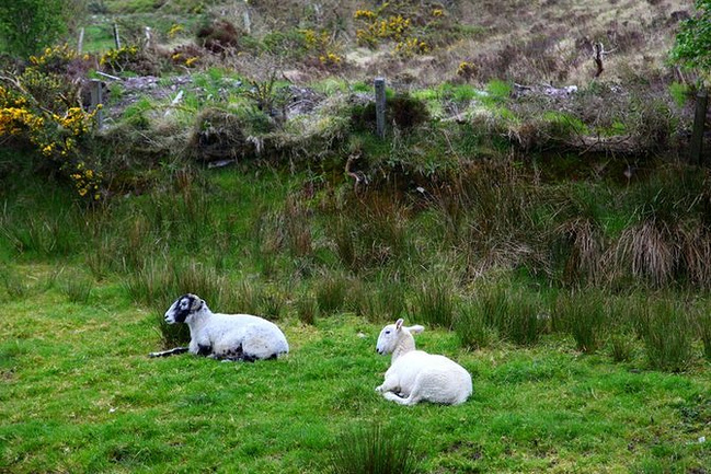 一个人的旅行-爱尔兰_都柏林旅游攻略
