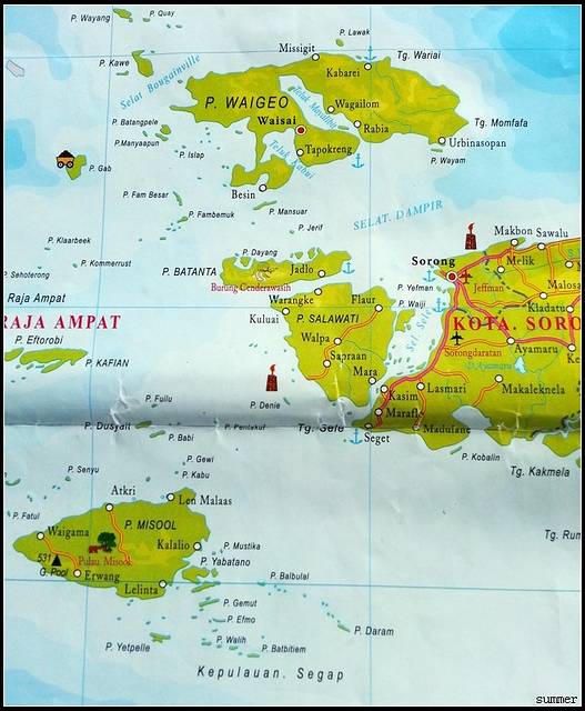 印尼美娜多、四王岛潜水之旅