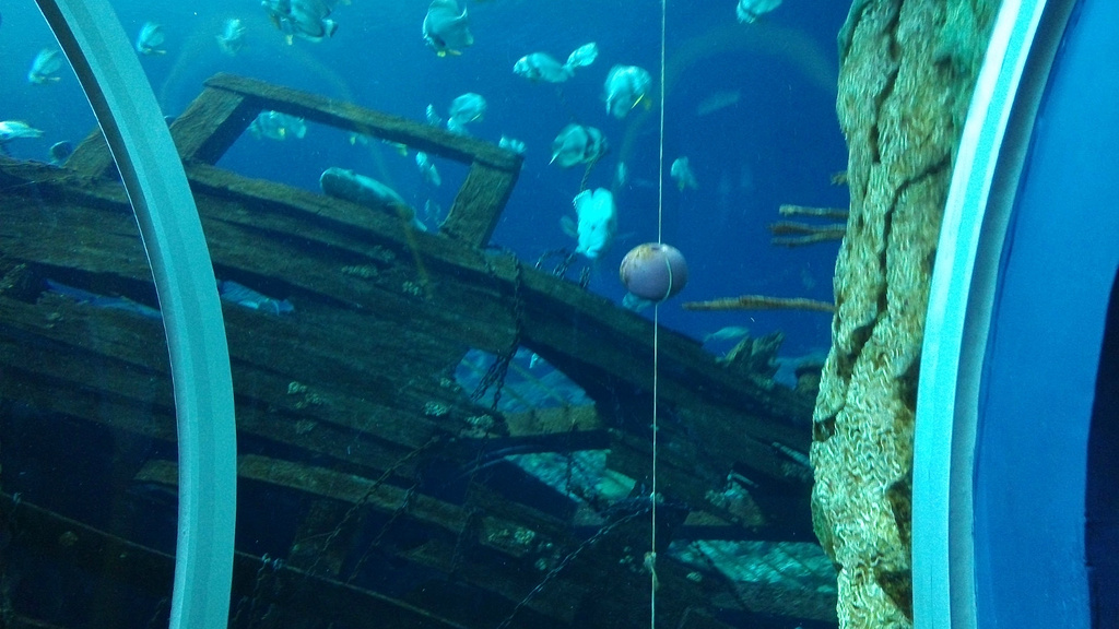 2015第三天早上八点准时出发,直接在高铁站旁