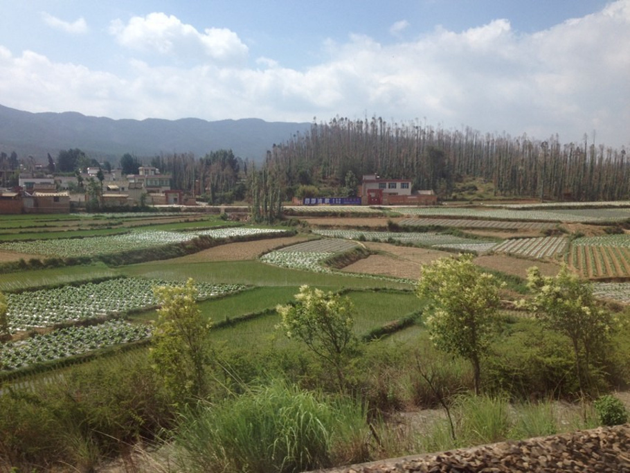 2015早上Am7:00,上网订票,成功,走人!._昆明站