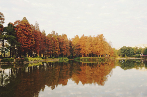 2015流花湖公园_旅游攻略_门票_地址_游记点评,广州旅游景点推荐 - 去哪儿攻略社区
