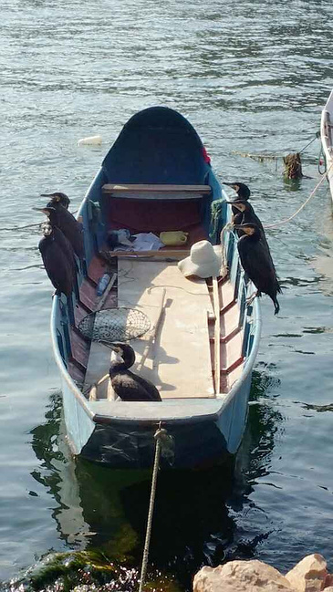 一场你我重逢的旅程,武当山,大理,西双版_十堰