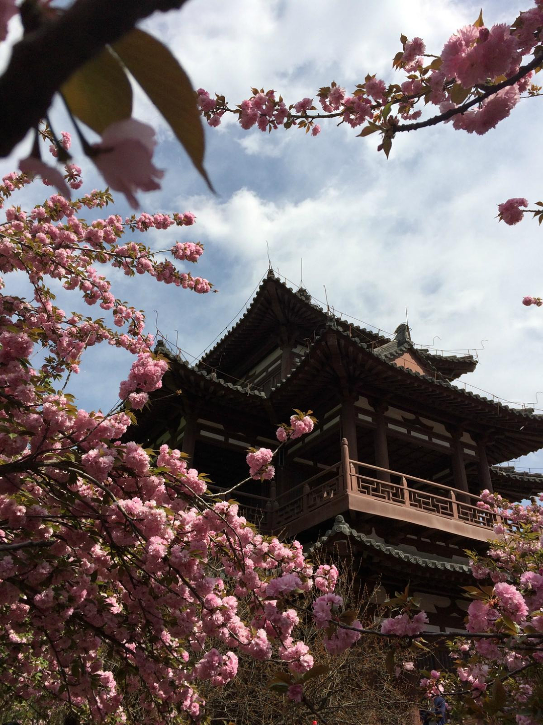 长安一梦_西安旅游攻略