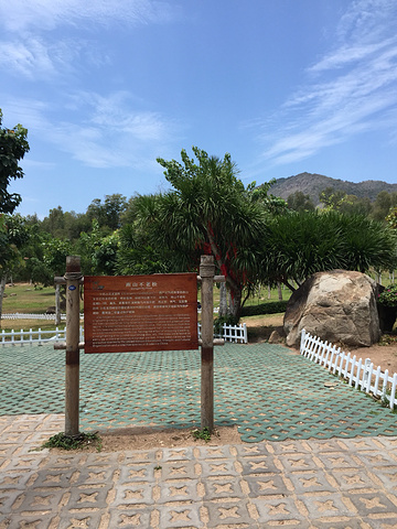 2016下楼海边散步之后,坐上了南山寺的旅游大