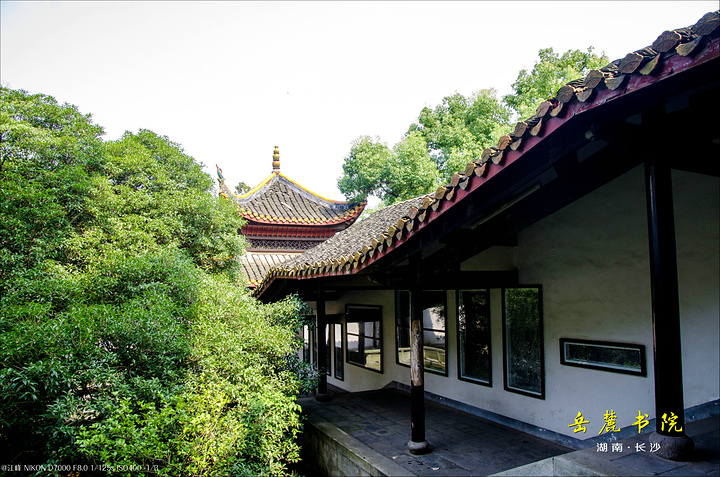 参观守御书楼,我们来到书院风景绝佳的地方——百泉轩,因为地处岳麓山