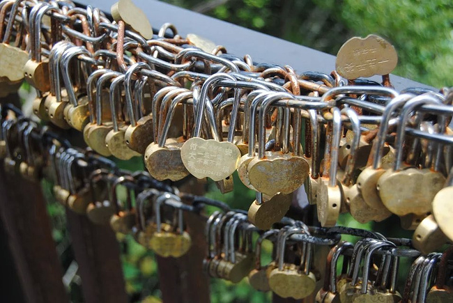 亚诺达热带雨林图片