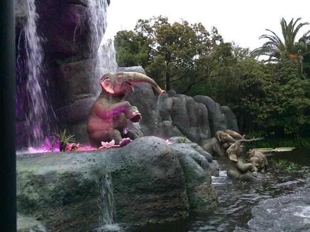 带着相机去旅行:肆月日本中部之行