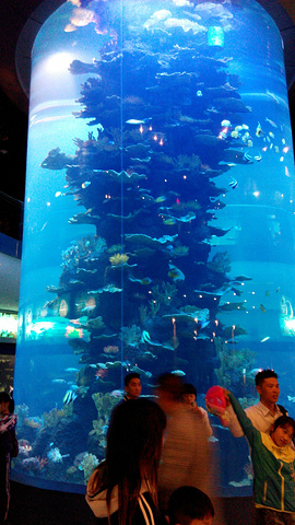 2019穆鲁拉巴行者海底水族馆游玩使徒,上午参世界逃脱攻略密室攻略图片
