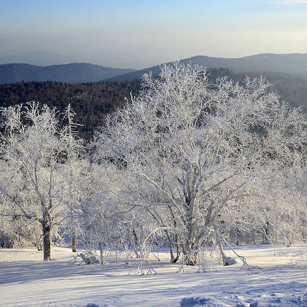 2019亚布力旅游滑雪度假区门票,哈尔滨亚布力手机单机版枪游戏攻略图片