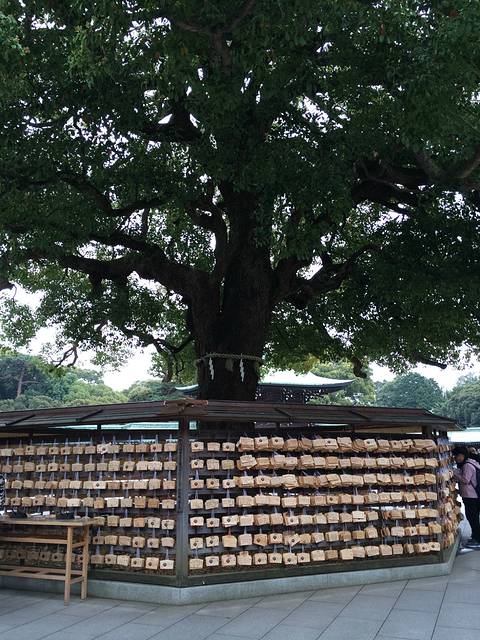 带着相机去旅行:肆月日本中部之行