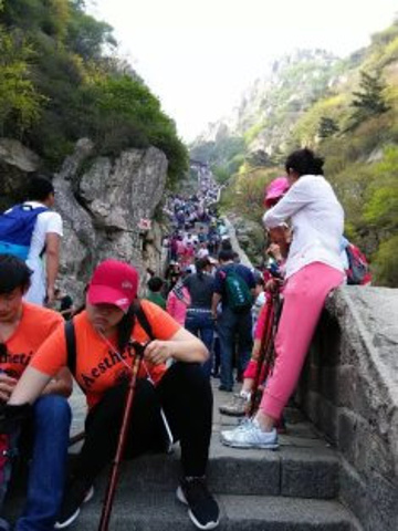 2015建议上山最好坐缆车_泰山评论 - 去哪儿攻略社区