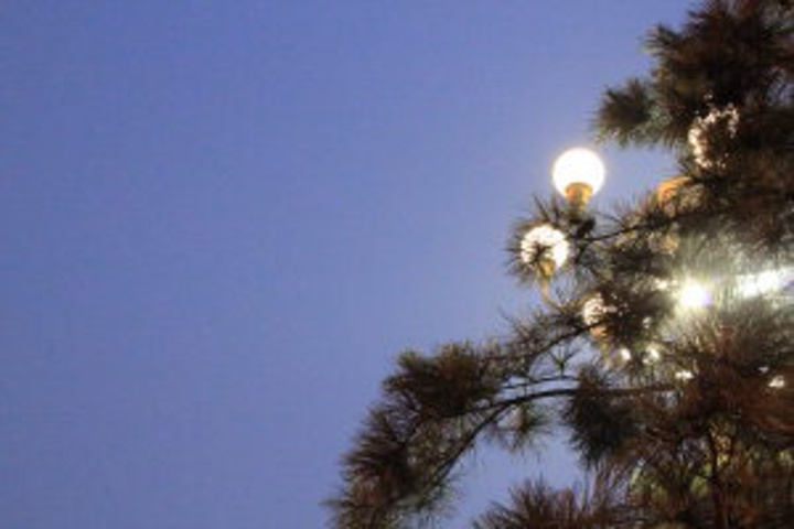 2015来北京一次,怎么也要看个升旗,早上4点多