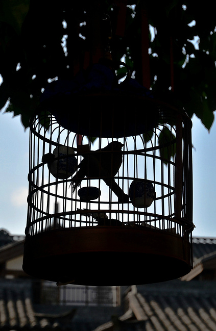 2015五一四天北京自驾四川阆中古城_南充旅游