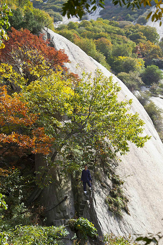 2015简单介绍行程:重庆硬卧到华山(21:4._华山