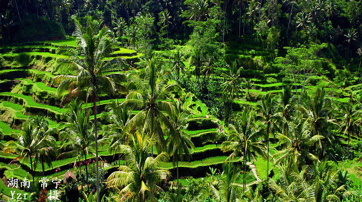2016德格拉朗梯田,我谓之为“放大的盆景”,确_德格拉朗梯田评论 - 去哪儿攻略社区