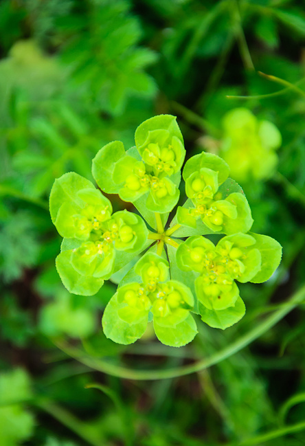 甘南川北七日游_甘南旅游攻略