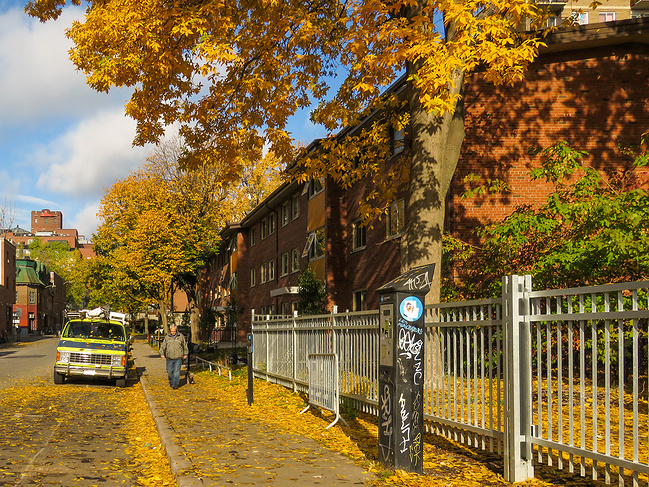 加国枫叶红_渥太华旅游攻略