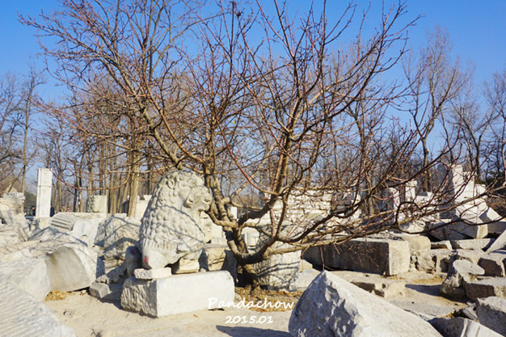 2015圆明园开放时间:11月-次年3月:售票._圆明